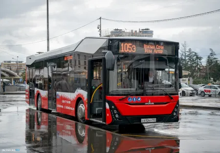 МАЗ 303