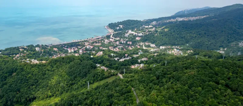 Кудепстинский лесопарк
